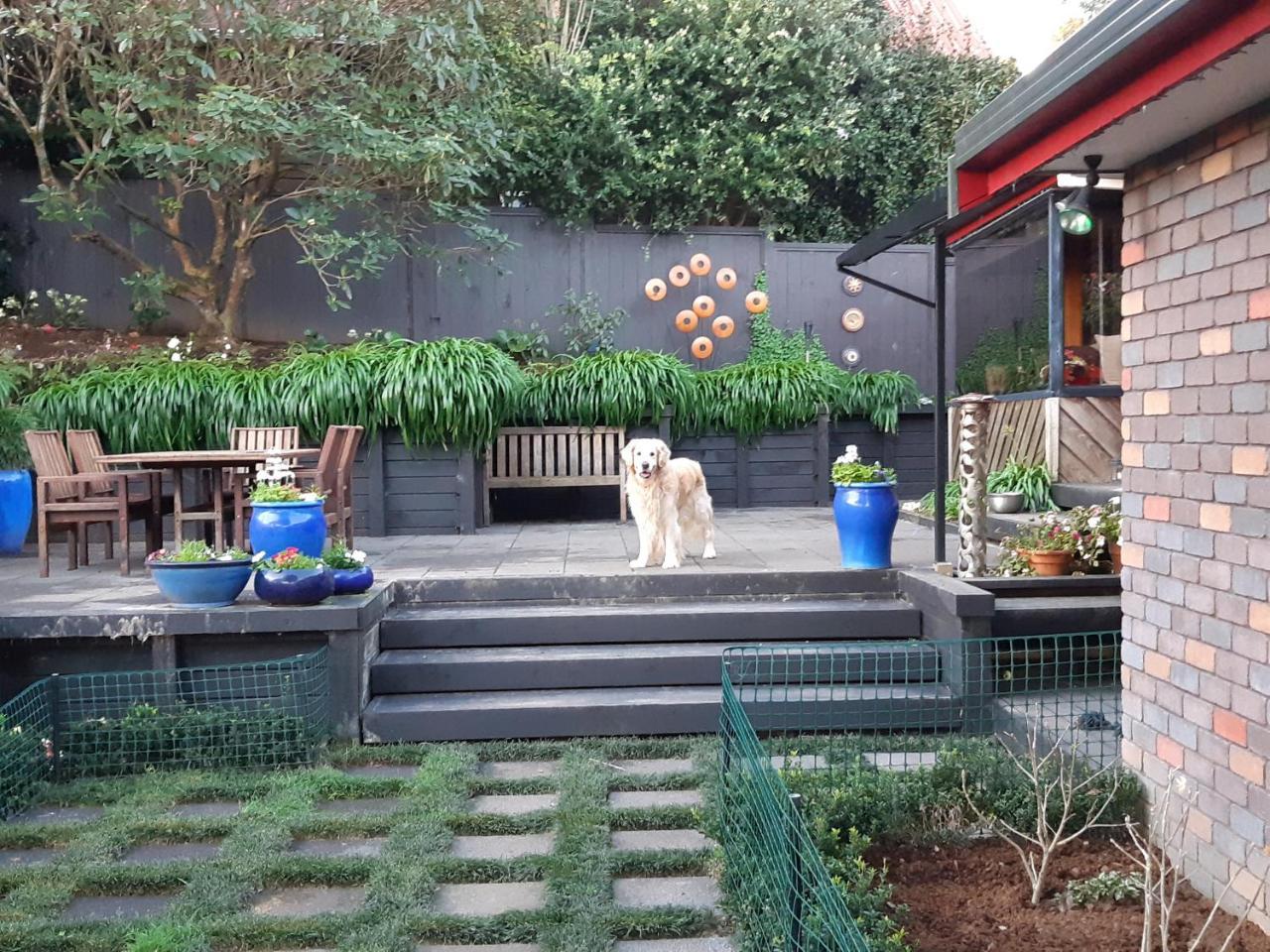 Bed and Breakfast Sequoia Steps à New Plymouth Extérieur photo